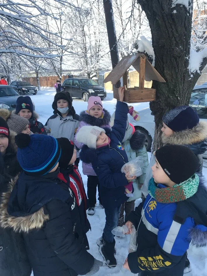 Акция «Покормите птиц зимой!».