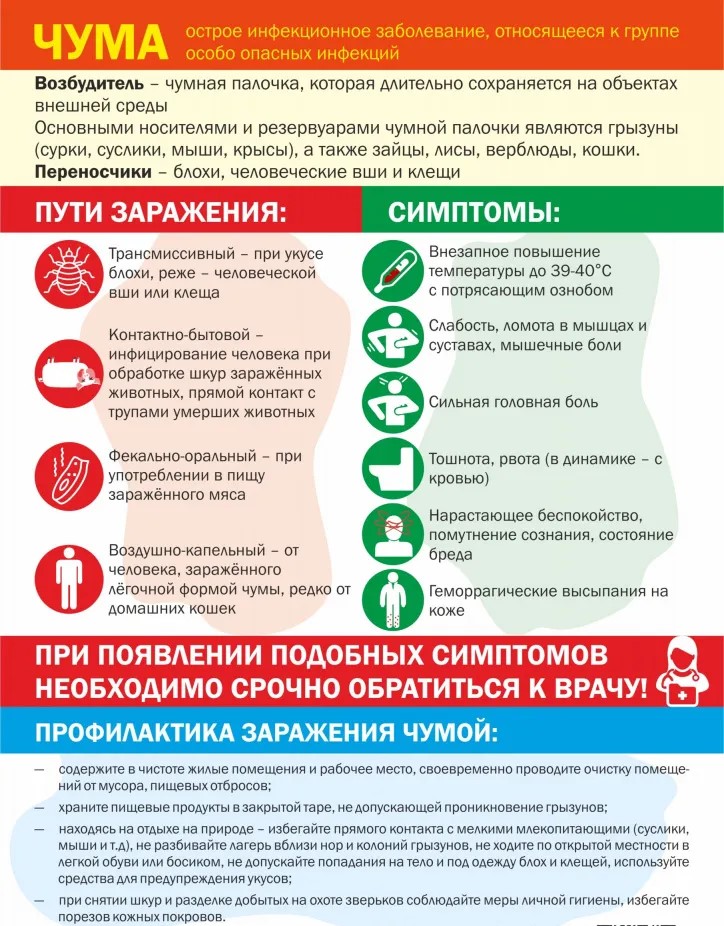 Чума